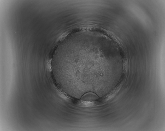 X0000115580383200911171014