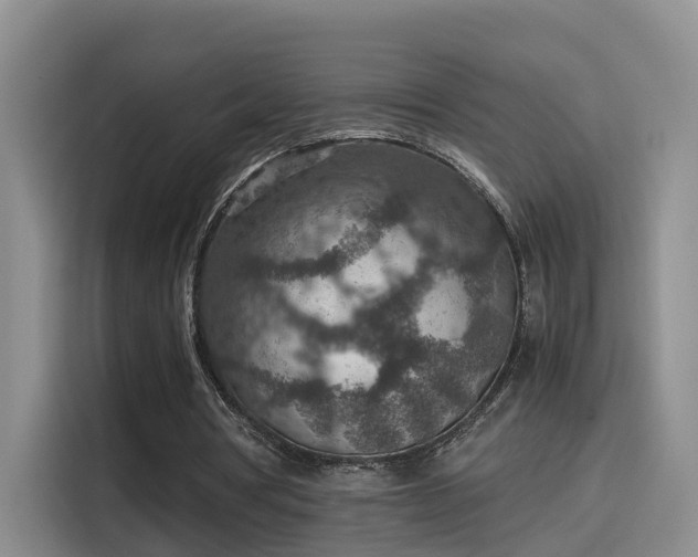 X0000115580386200911171014