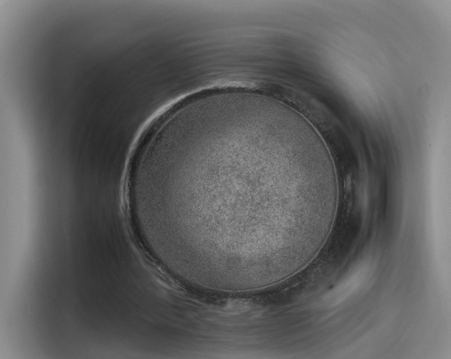 X0000115580388200911171014