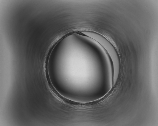 X0000115580389200911171014