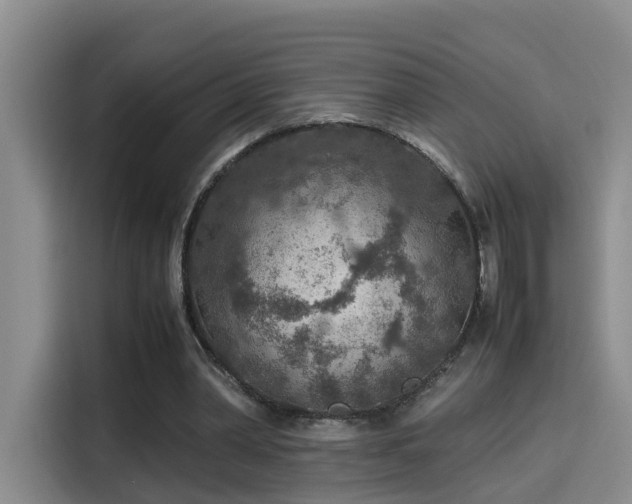 X0000115580390200911171014