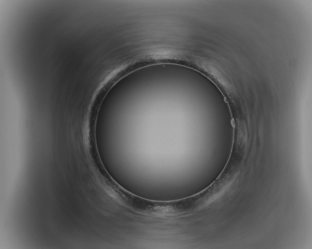 X0000115580391200911171014