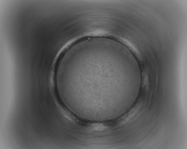 X0000115580392200911171014