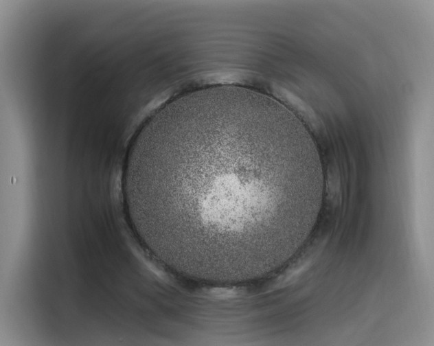 X0000115580394200911171014