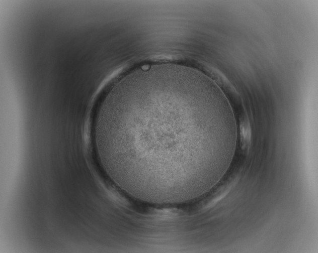 X0000115580396200911171014