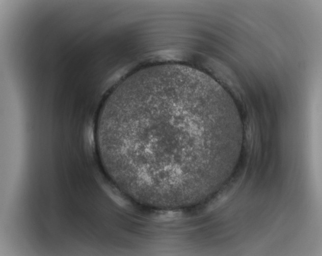 X0000115580398200911171014