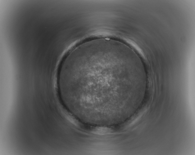 X0000115580399200911171014