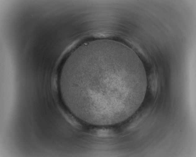 X0000115580400200911171014