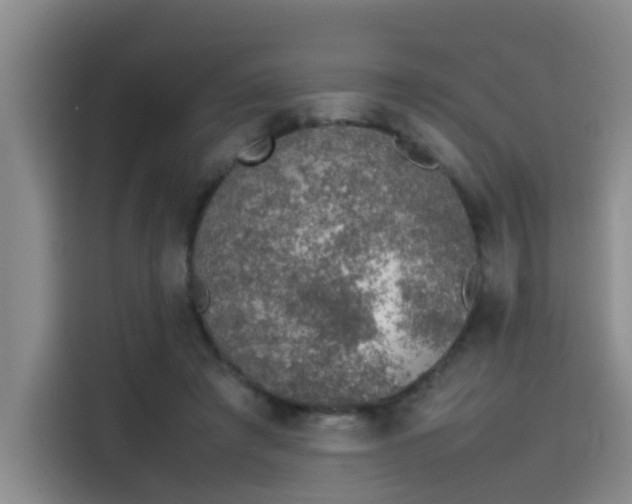 X0000115580401200911171014