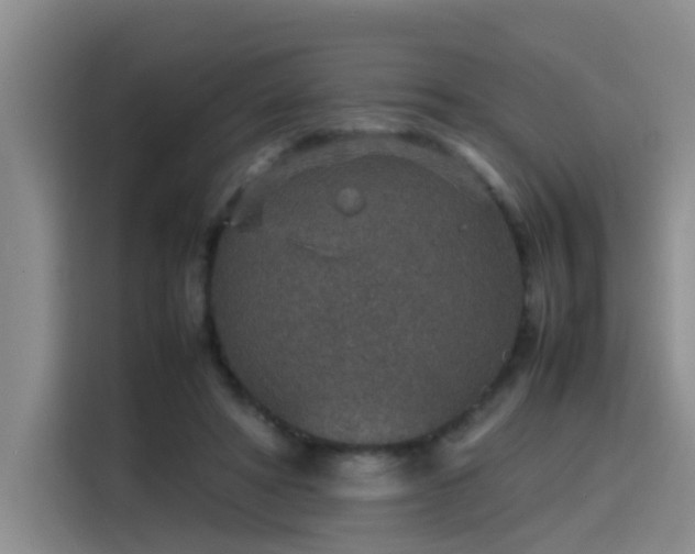 X0000115580402200911171014