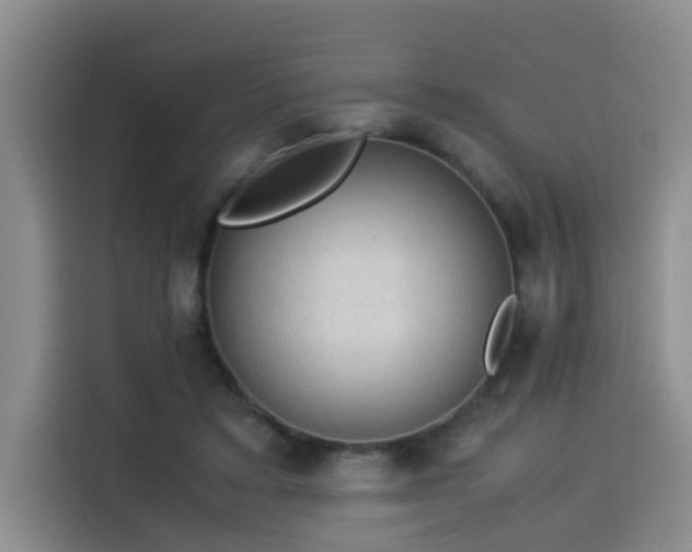 X0000115580403200911171014