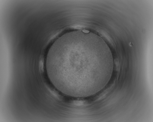 X0000115580404200911171014