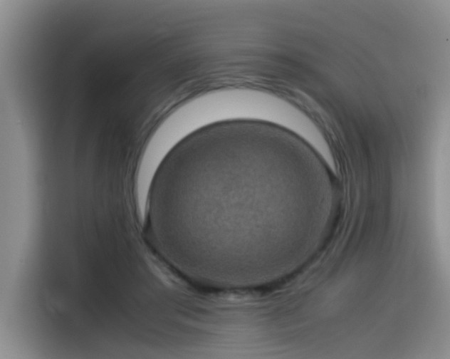 X0000115580405200911171014