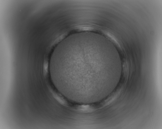 X0000115580406200911171014