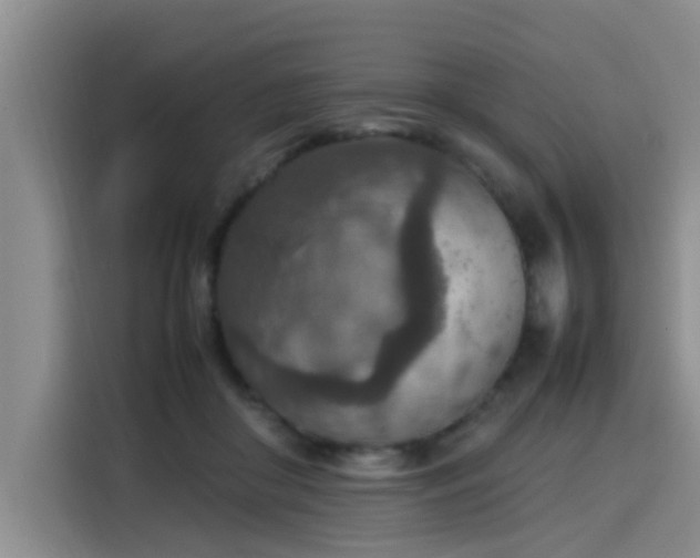 X0000115580410200911171014