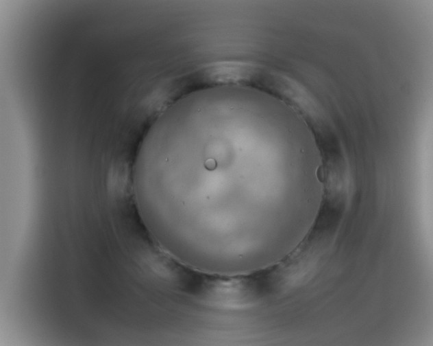 X0000115580411200911171014