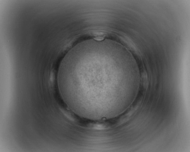 X0000115580412200911171014