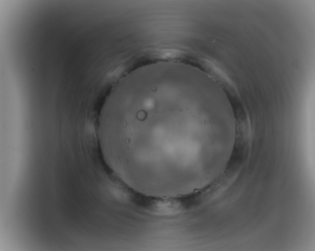 X0000115580415200911171013