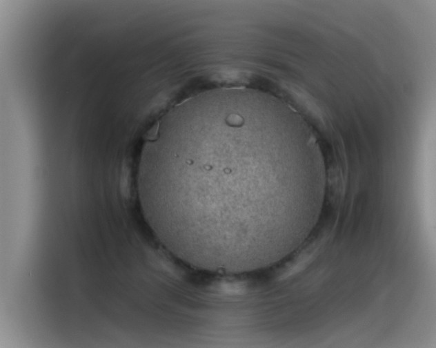 X0000115580416200911171013