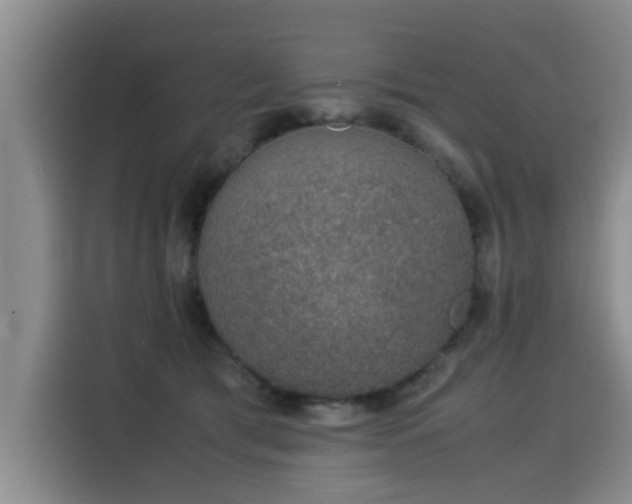 X0000115580417200911171013