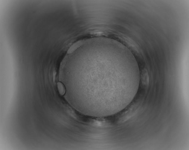 X0000115580420200911171013