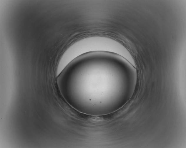 X0000115580421200911171013