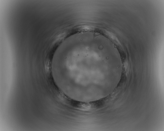 X0000115580423200911171013