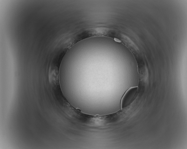 X0000115580425200911171013