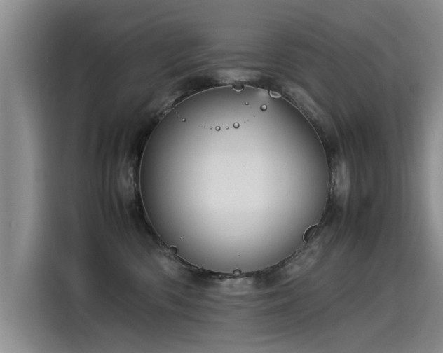 X0000115580426200911171013