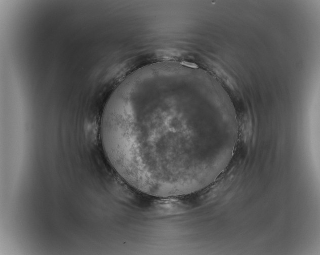 X0000115580427200911171013