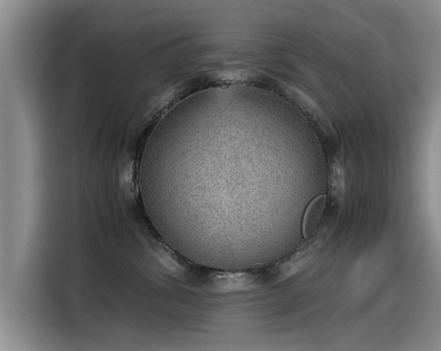 X0000115580428200911171013