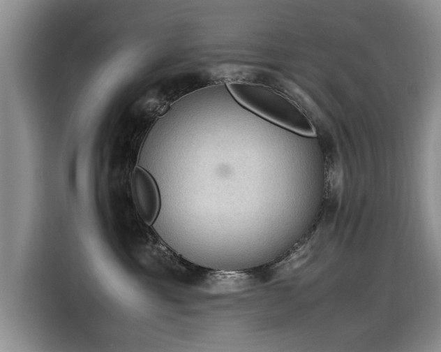 X0000115580429200911171013