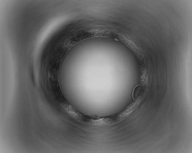 X0000115580430200911171013