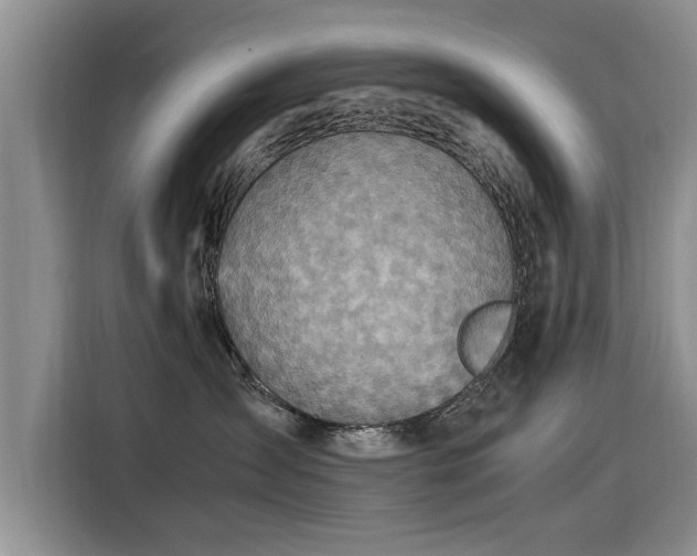 X0000115580431200911171013