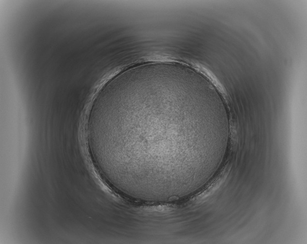 X0000115580433200911171013