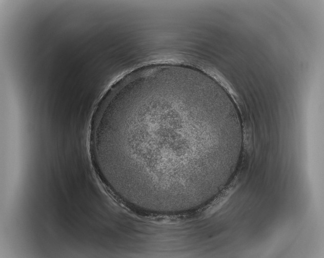 X0000115580434200911171013