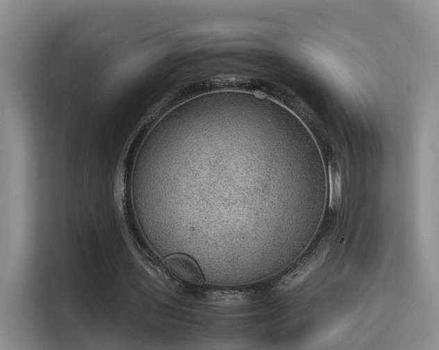 X0000115580435200911171013