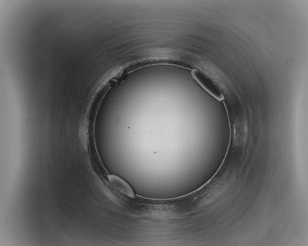 X0000115580436200911171013