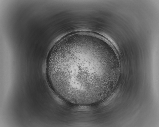 X0000115580437200911171013