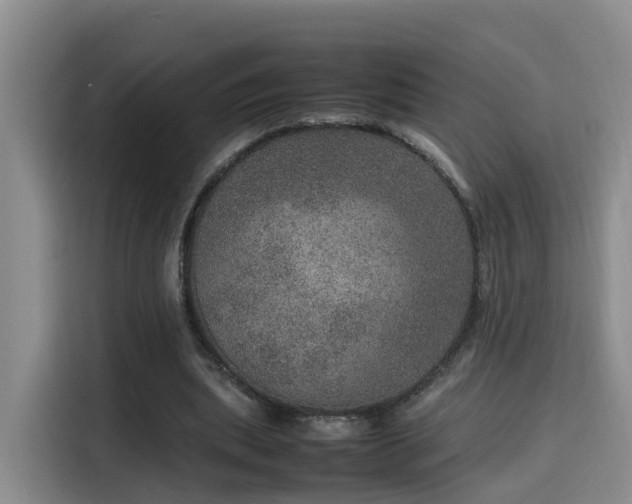 X0000115580439200911171013