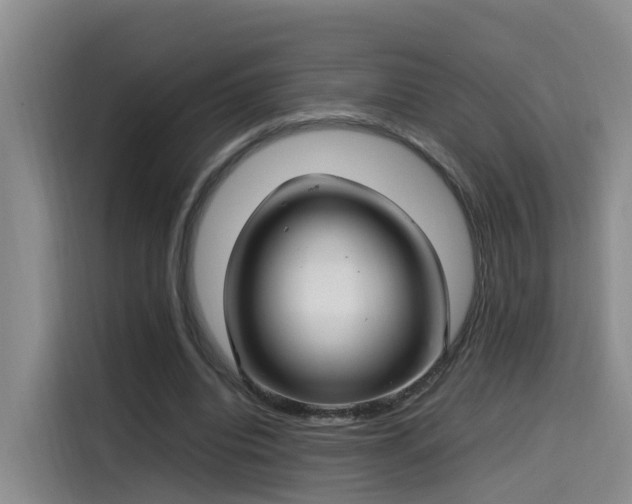 X0000115580440200911171013