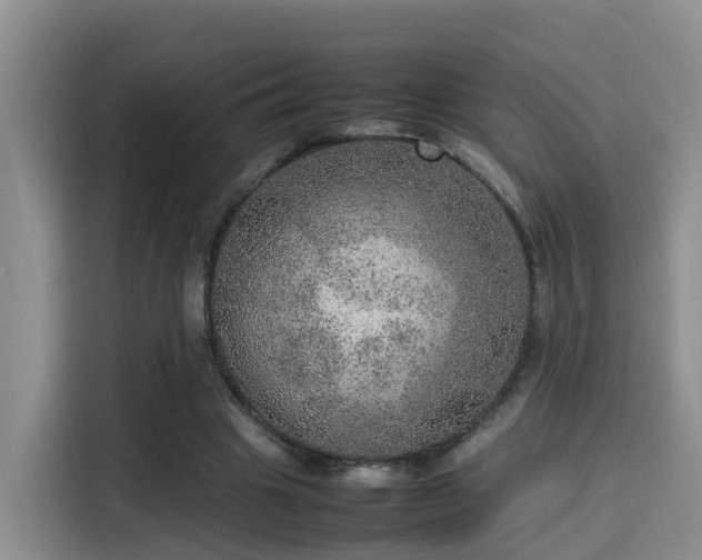 X0000115580441200911171013