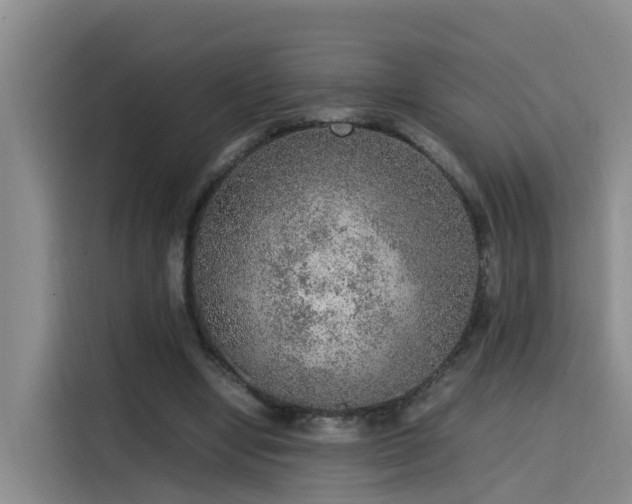 X0000115580442200911171013