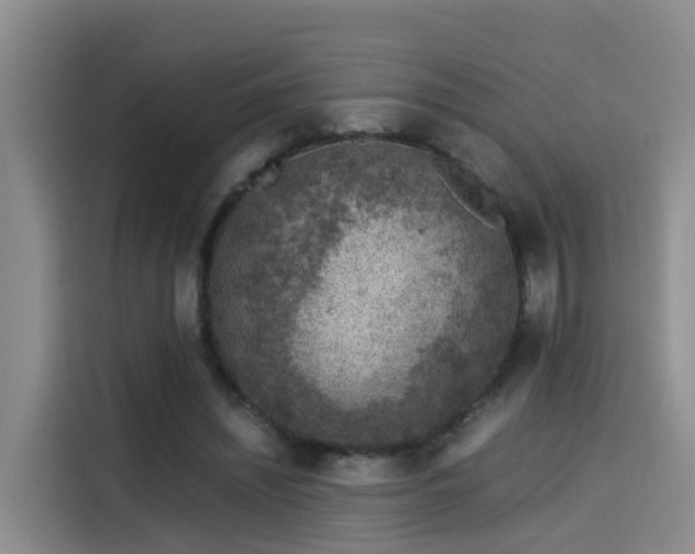 X0000115580444200911171013