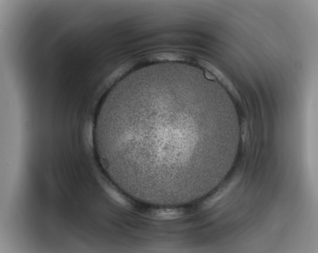 X0000115580445200911171013