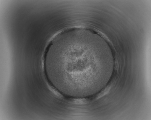 X0000115580446200911171013