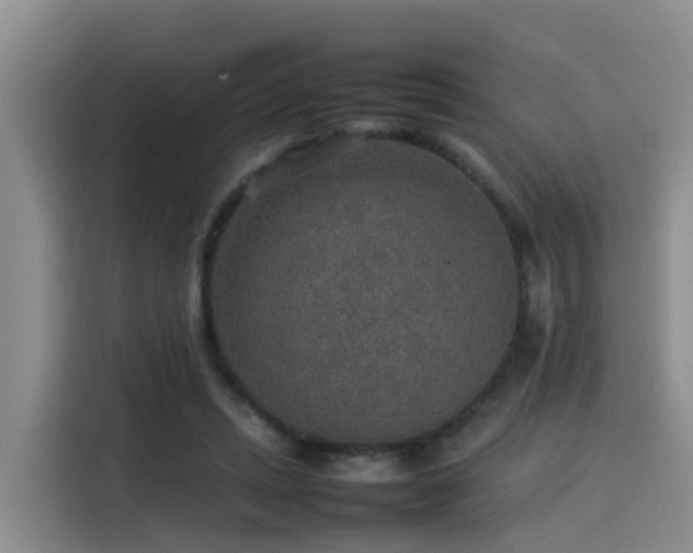 X0000115580447200911171013