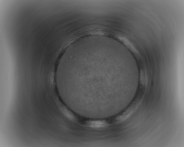 X0000115580449200911171013