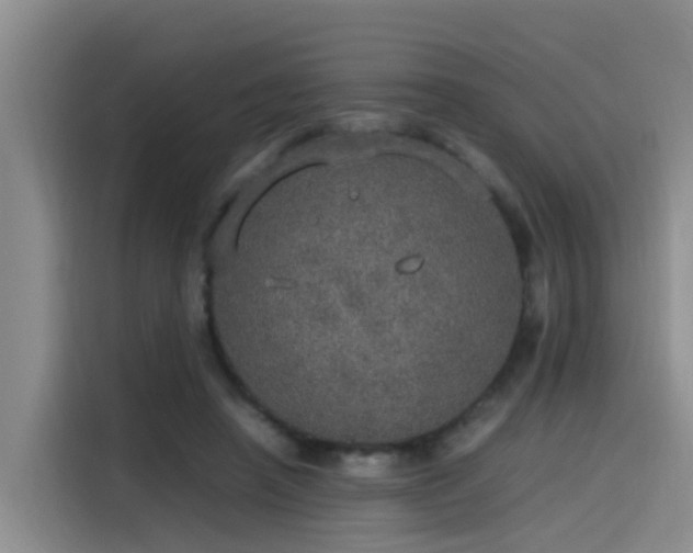 X0000115580450200911171013