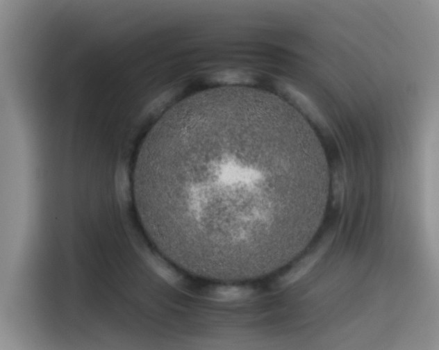 X0000115580453200911171013